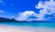 夏